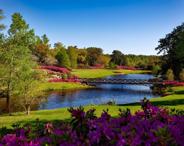 pexels-pixabay-158063